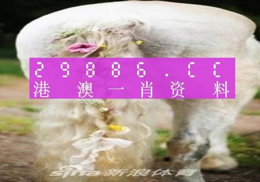 22324濠江论坛一肖一码 精选解析,探索、落实与展望-热点版